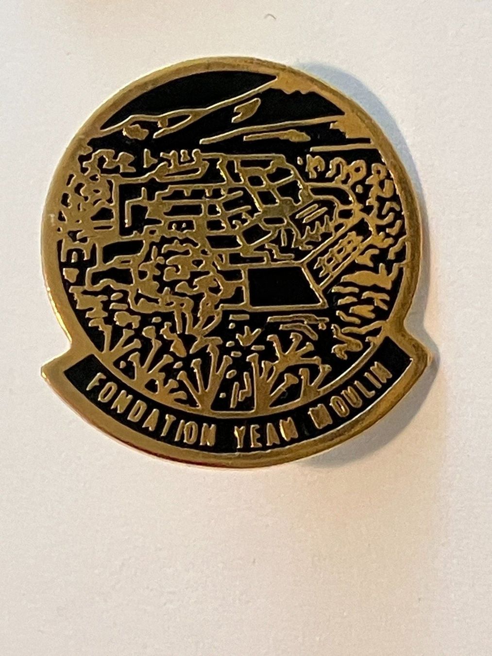 Plaquettes & Badges: 1 Pin Fondation Team Moulin – D'occasion à Basel par djwwpp