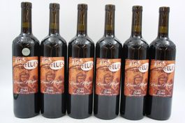 6x Vallemaggia Magic Blues Rosso 2019 - Rotwein (26082164Z)