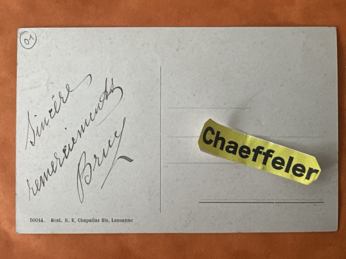 Cartoline postali: Alte Ansichtskarte Divonne-les-Bains Quartier de la Gare  – Usato da Zürich venduto da Chaeffeler 1