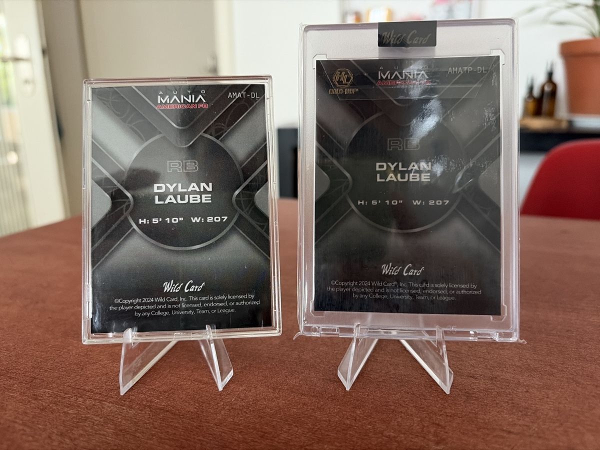 NFL Carte collezionabili: 2 NFL Karten - Dylan Laube - 1/1 – Usato da Bern venduto da sam_25hm 1