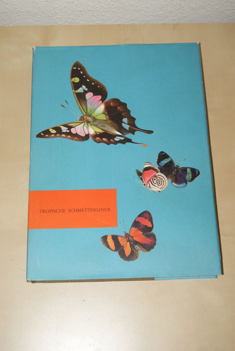 Libri: Silva Tropische Schmetterlinge – Usato da Zürich venduto da Widi1