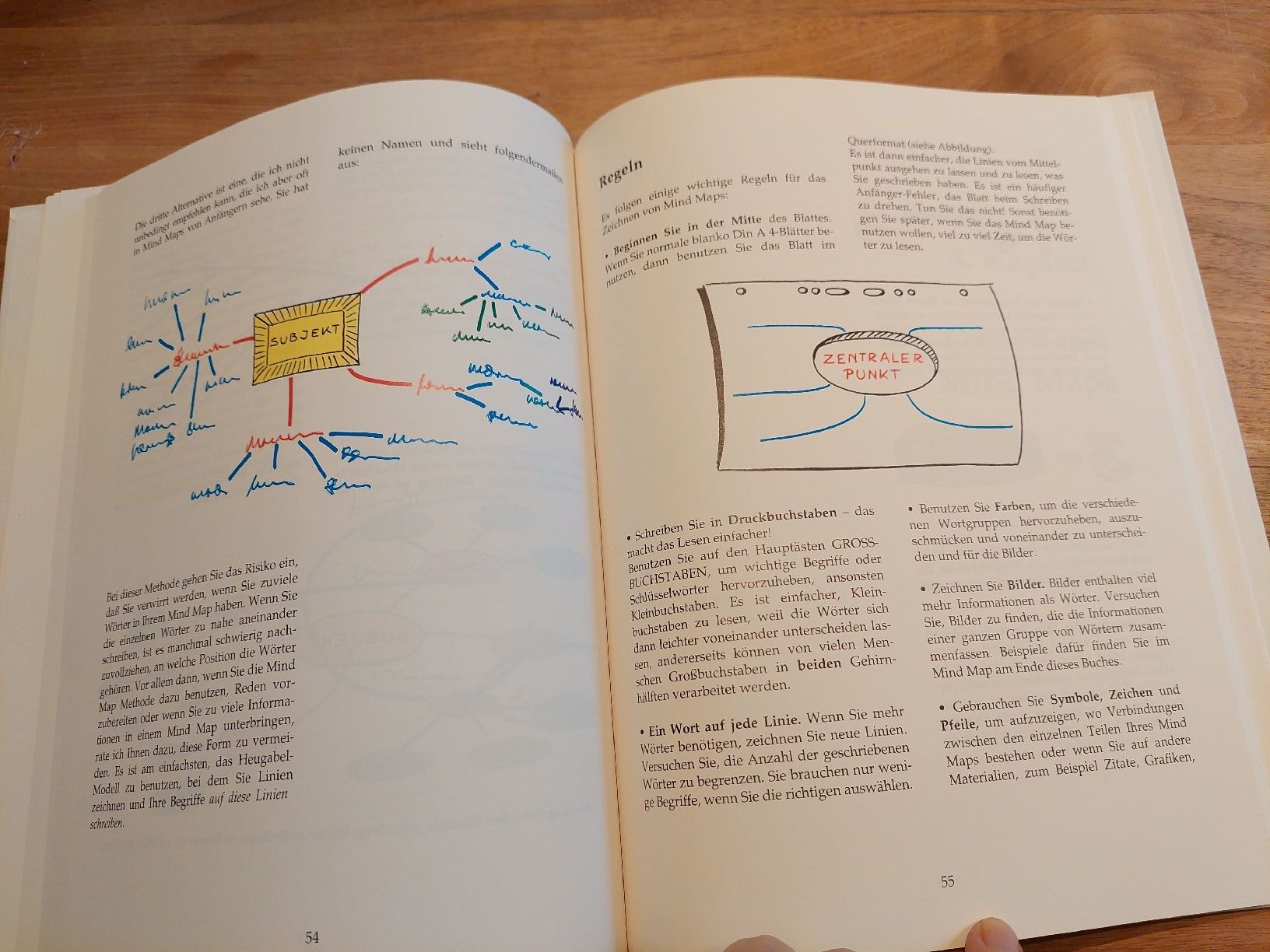 Libri: Mind Mapping und Gedächtnistraining - Top Zustand! – Usato da Brunnen venduto da Livianda 6