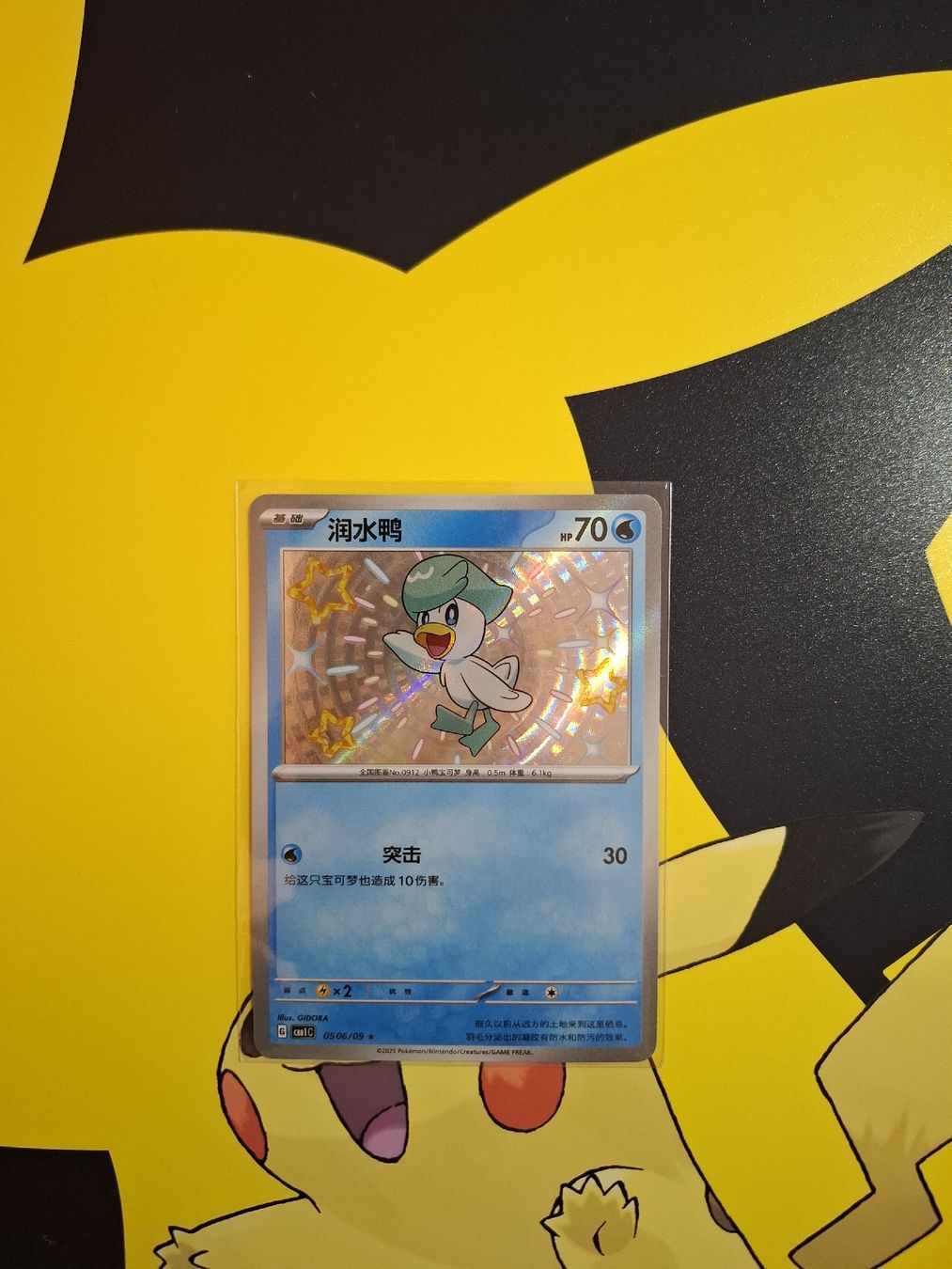 Pokémon Carte collezionabili: Pokemon Karte - Selten Top! – Nuovo (secondo la descrizione) da Effretikon venduto da PokeDeki