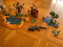 Playmobil Wildtier Wasserstelle & Ombati Rangerstation