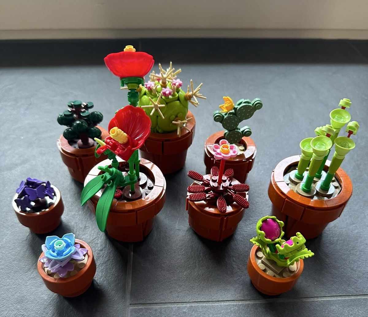 Lego Spielzeuge: Lego: Minecraft, Harry Potter, Blumen – Gebraucht aus Hemmental von Kathikag 7