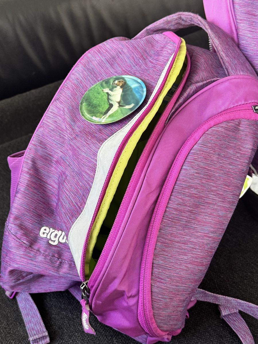 Ergobag Kindertaschen: Schulrucksack Ergobag Pack Mixmax Edition lila gebraucht – Gebraucht aus Zürich von lorem.ipsum 4