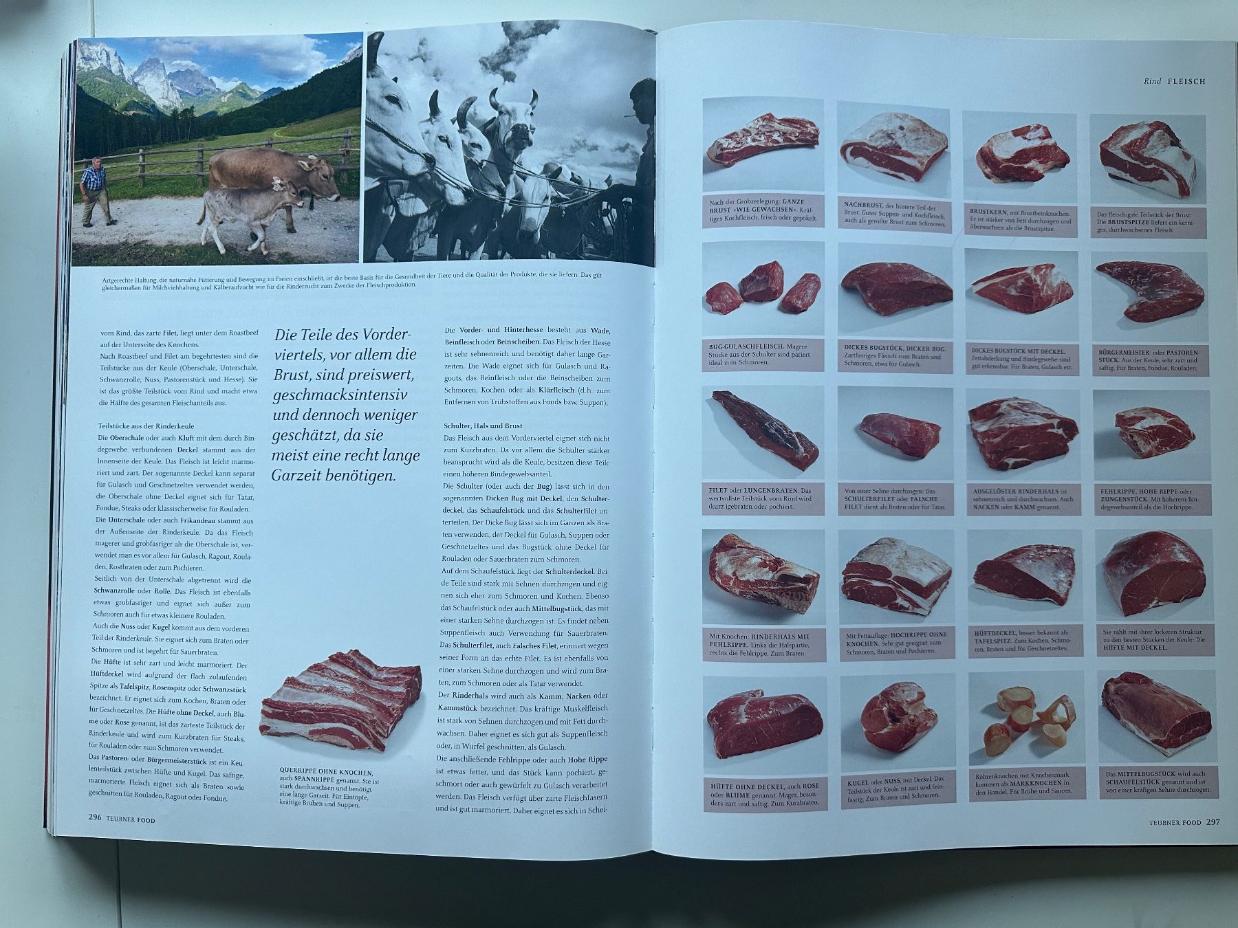 Livres: Food Teubner – D'occasion à Dietlikon par has_s9fw 3
