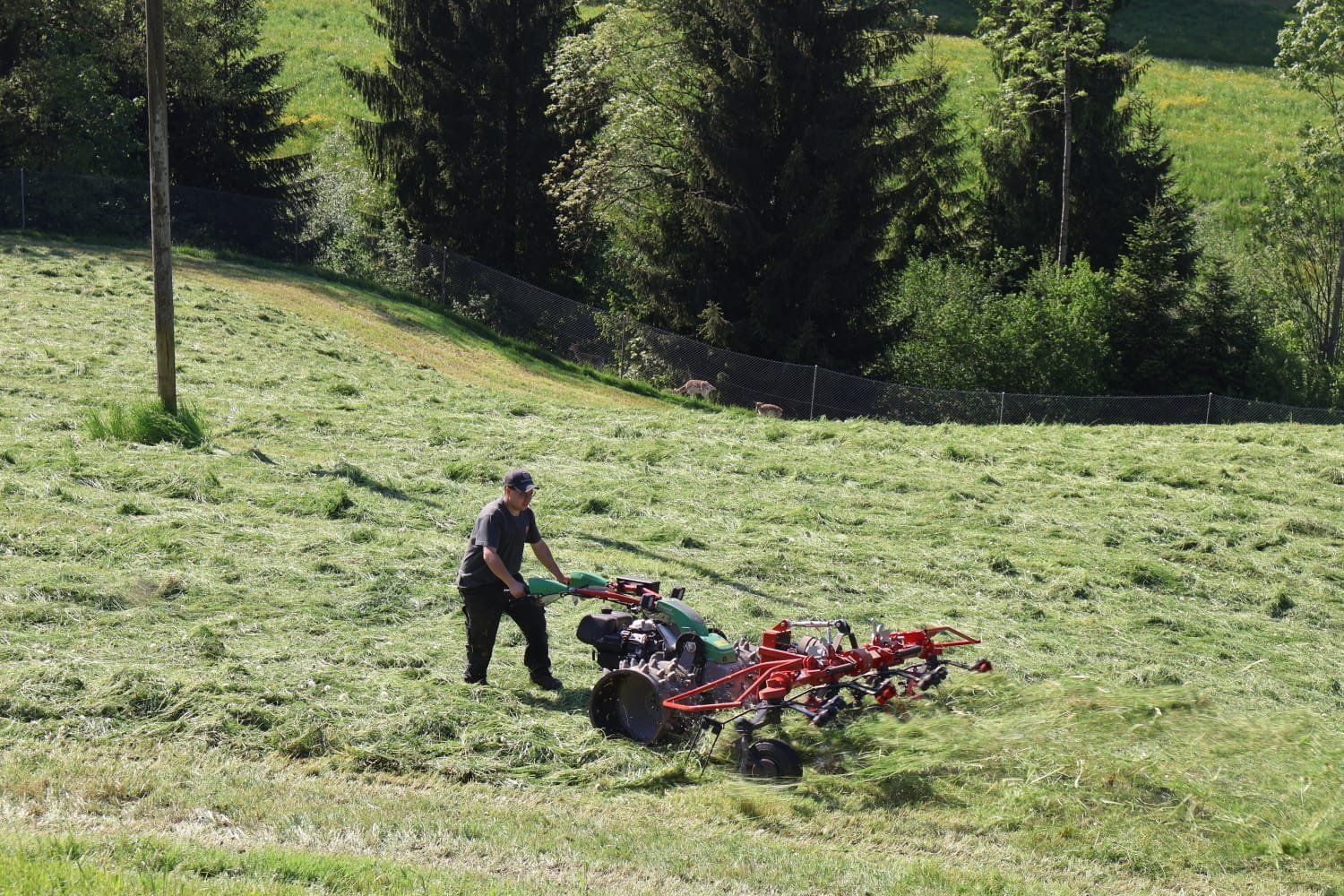 Tutte le macchine: Kreiselheuer – Usato da Doppleschwand venduto da schouber.69 2