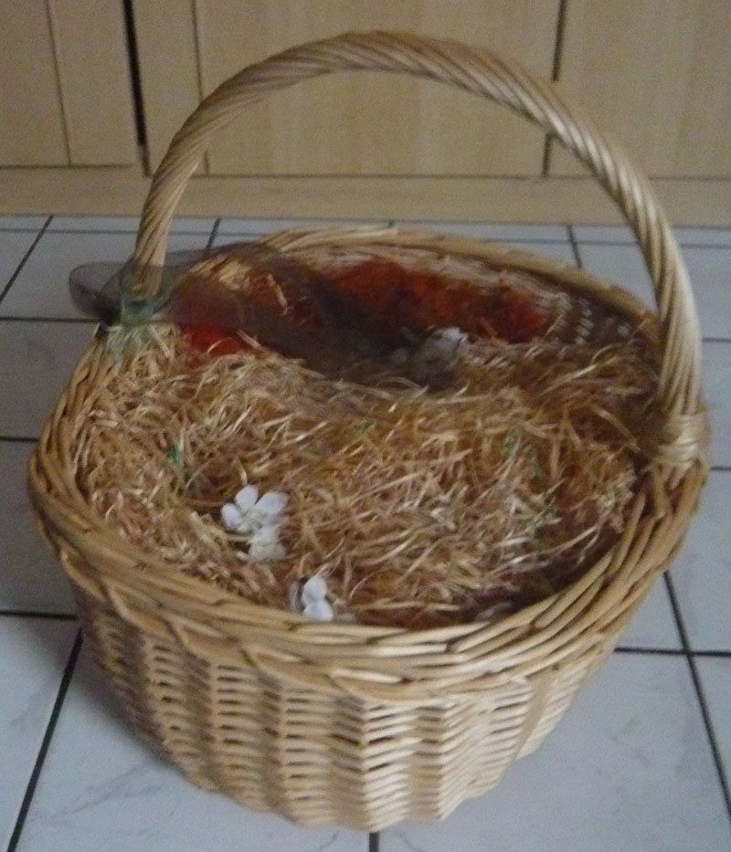 Altro per la casa: Korb – Usato da Ruggell venduto da Btt 1