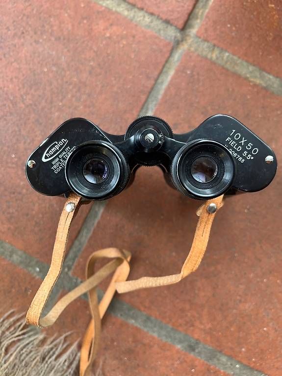 Champion Binocoli: Fernglas Champion 10x50 - – Usato da Zuzgen venduto da Astrid2004