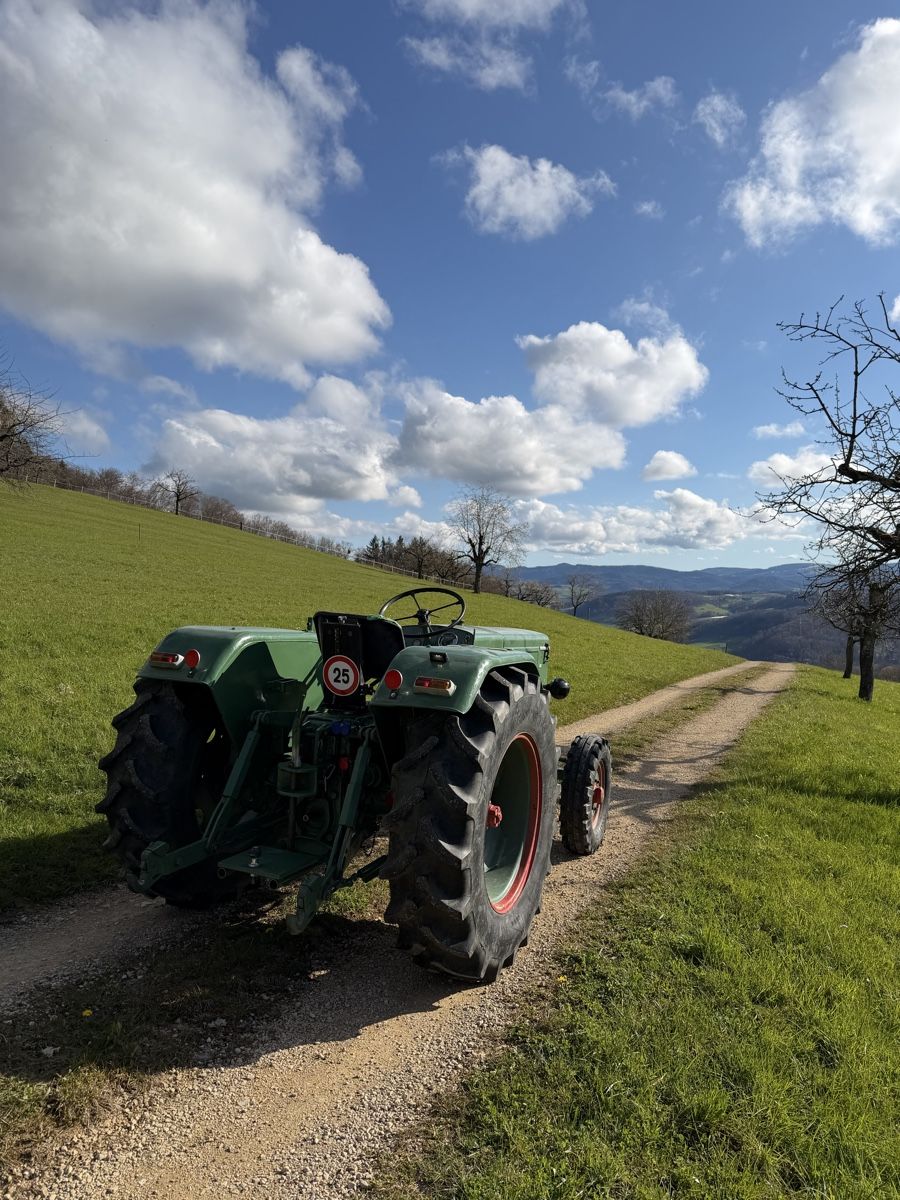 Bührer Trattori: Bührer op 17 – Usato da Sissach venduto da Kev2003 2
