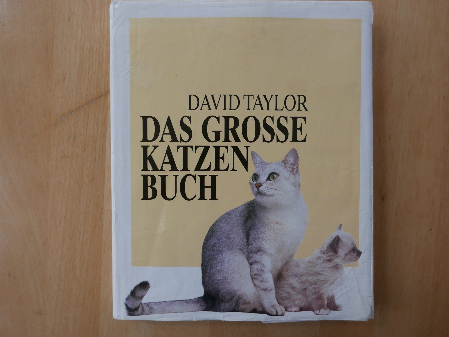 Livres: Das Grosse Katzenbuch - David Taylor - 100 Rassen – D'occasion à Rotkreuz par nigal