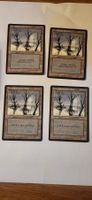 MTG - Verschneiter Sumpf