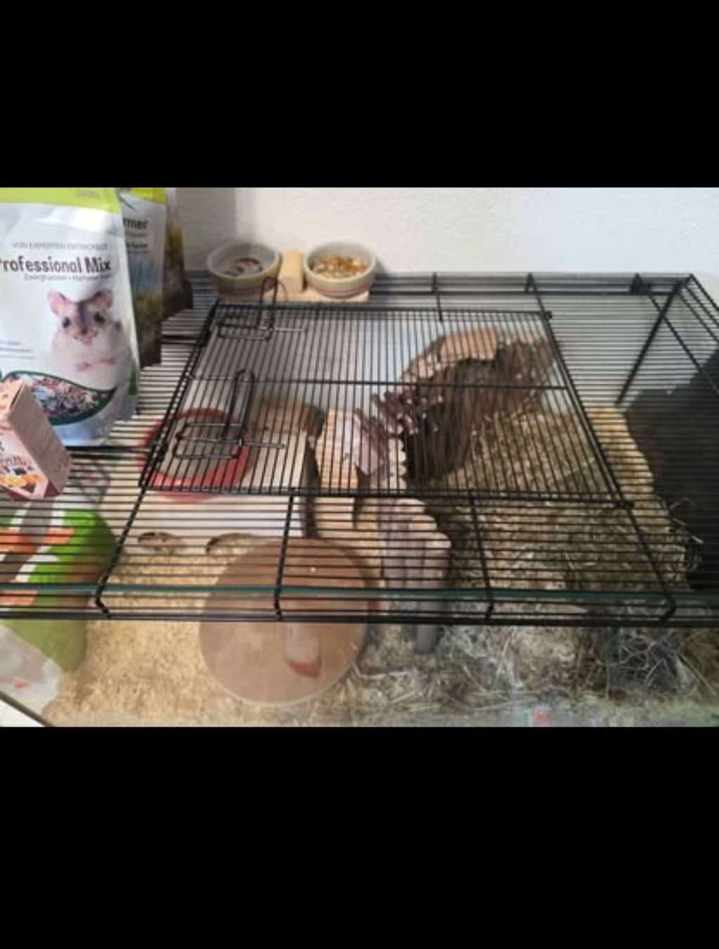 Gabbie, trasporto & Sicurezza: Hamsterkäfig mit Zubehör gebraucht – Usato da Glattpark(Opfikon) venduto da dra_lw2t 1