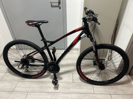 Alu Bike Whileer