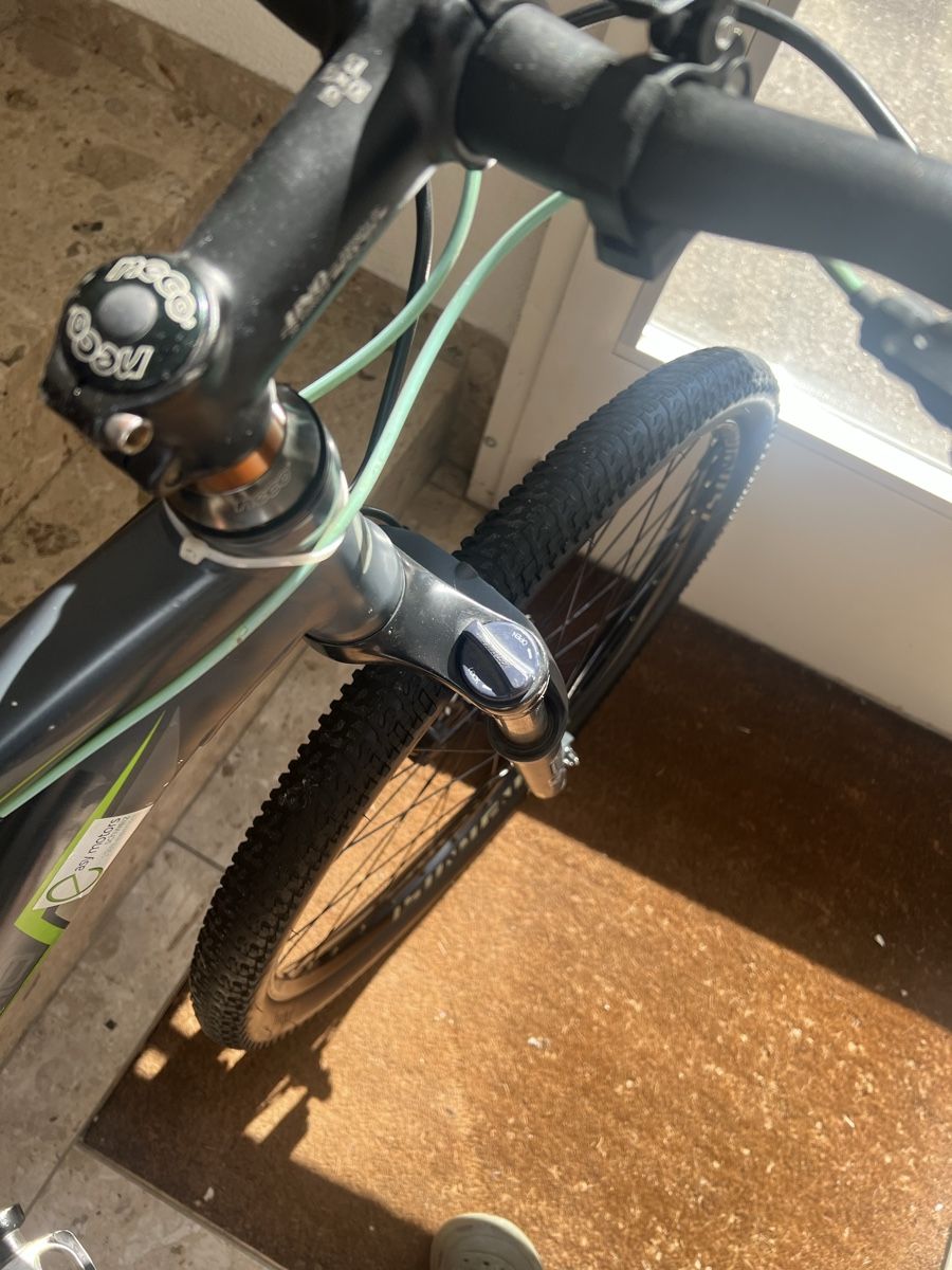 Biciclette: Mountainbike Scottedale 29zoll – Usato da amriswil venduto da ali_6dnw 3