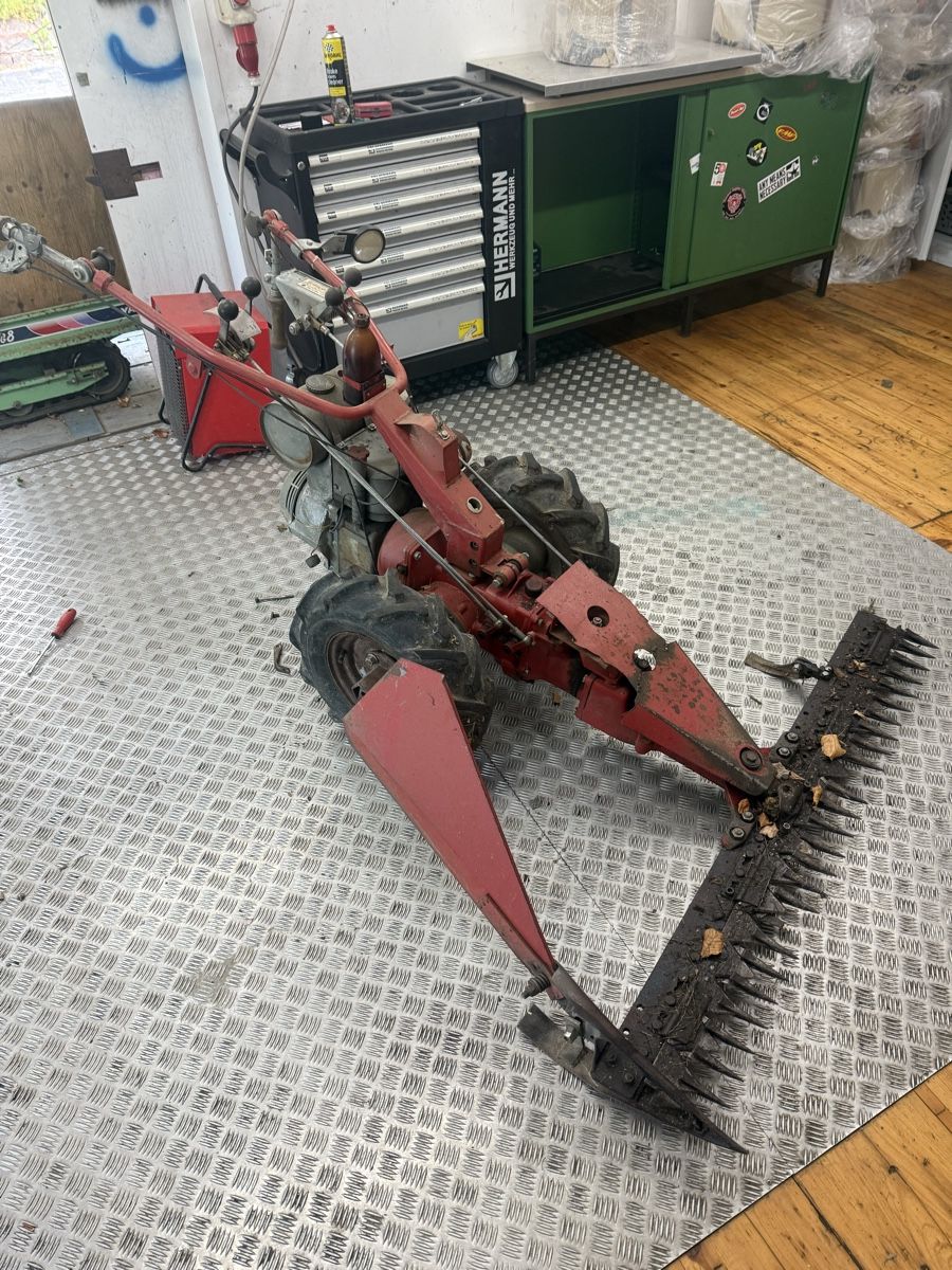 Toutes les machines: Motormäher  – D'occasion à Eichberg par Weder236