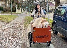 Original E- Lastenrad speziell für Hunde plus Kindersitzen