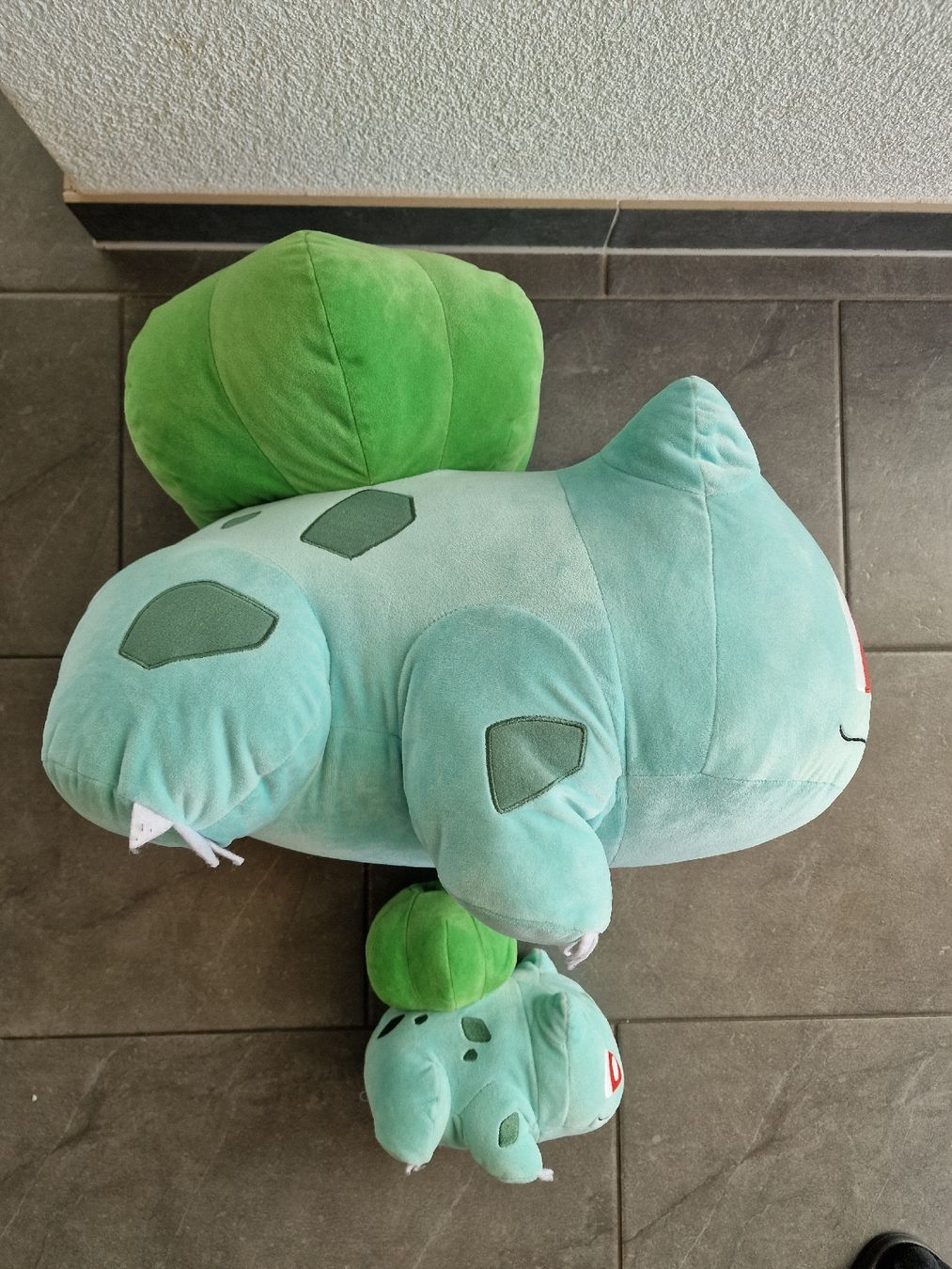 Pokémon Giocattoli: Pokemon Bisasam Plüschtier Set – Usato da Koppigen venduto da Kellerfundsachen 1