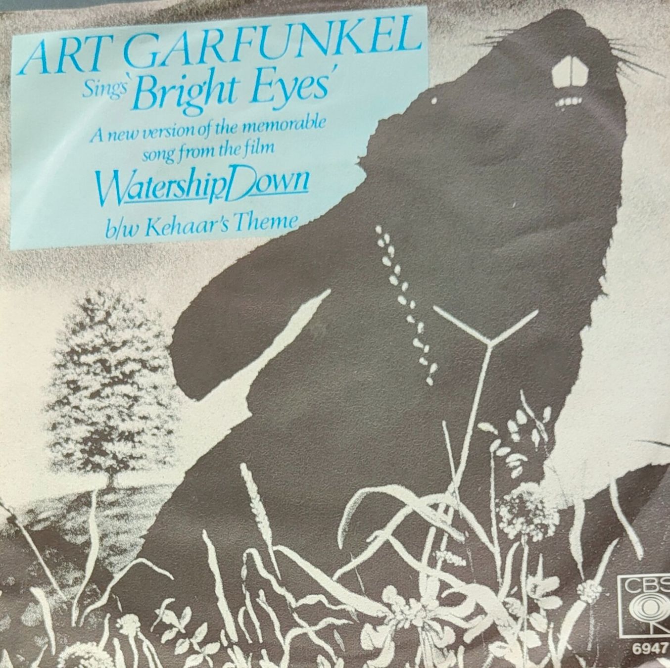 Dischi in vinile: Vinyl-Single Art Garfunkel - Bright Eyes – Usato da Langenthal venduto da Modo39