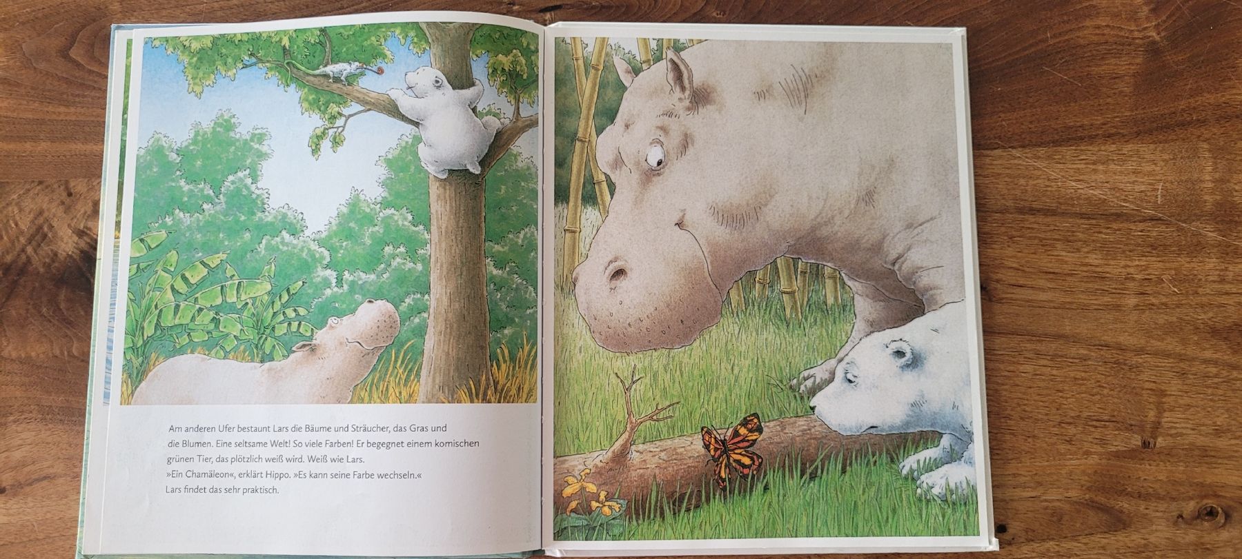 Bücher: Kinderbuch Kleiner Eisbär – Gebraucht aus Worb von Sibille20 1