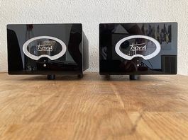 2 Kora ARIES XLR Mono-Röhrenendstufen sehr guter Zustand
