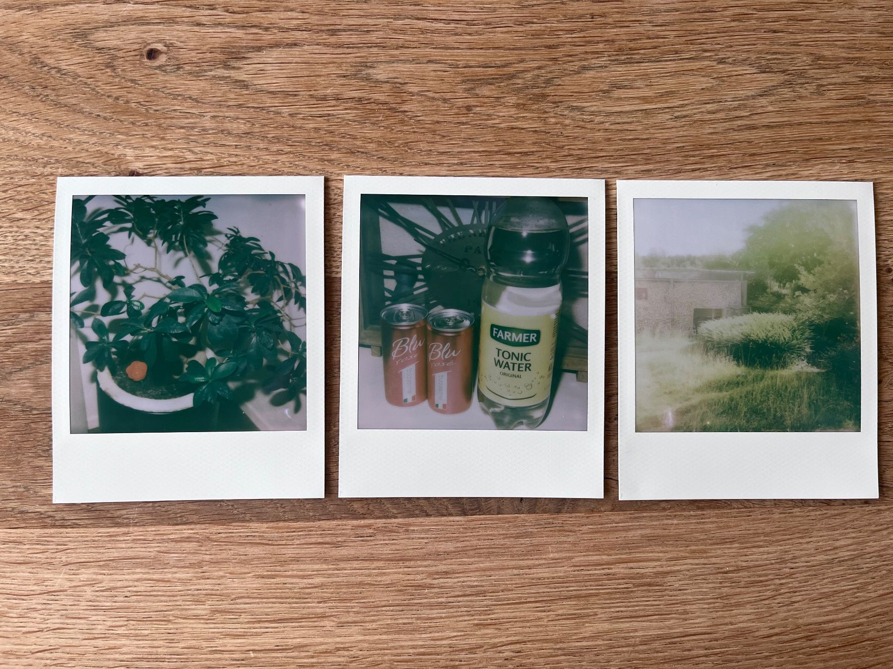 Polaroid Fotocamera: FUNKTIONIERT Polaroid slr 680 – Usato da Rapperswil BE venduto da blackwaterswiss 4