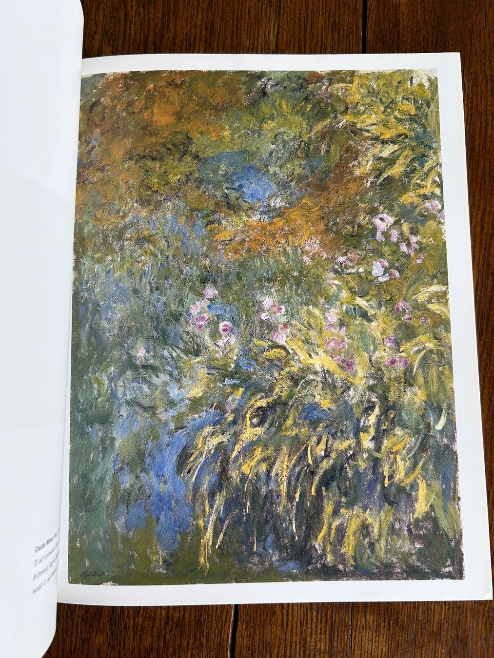 Libri: Claude Monet und die Moderne – Usato da Basel venduto da Peter_schlemihl 2