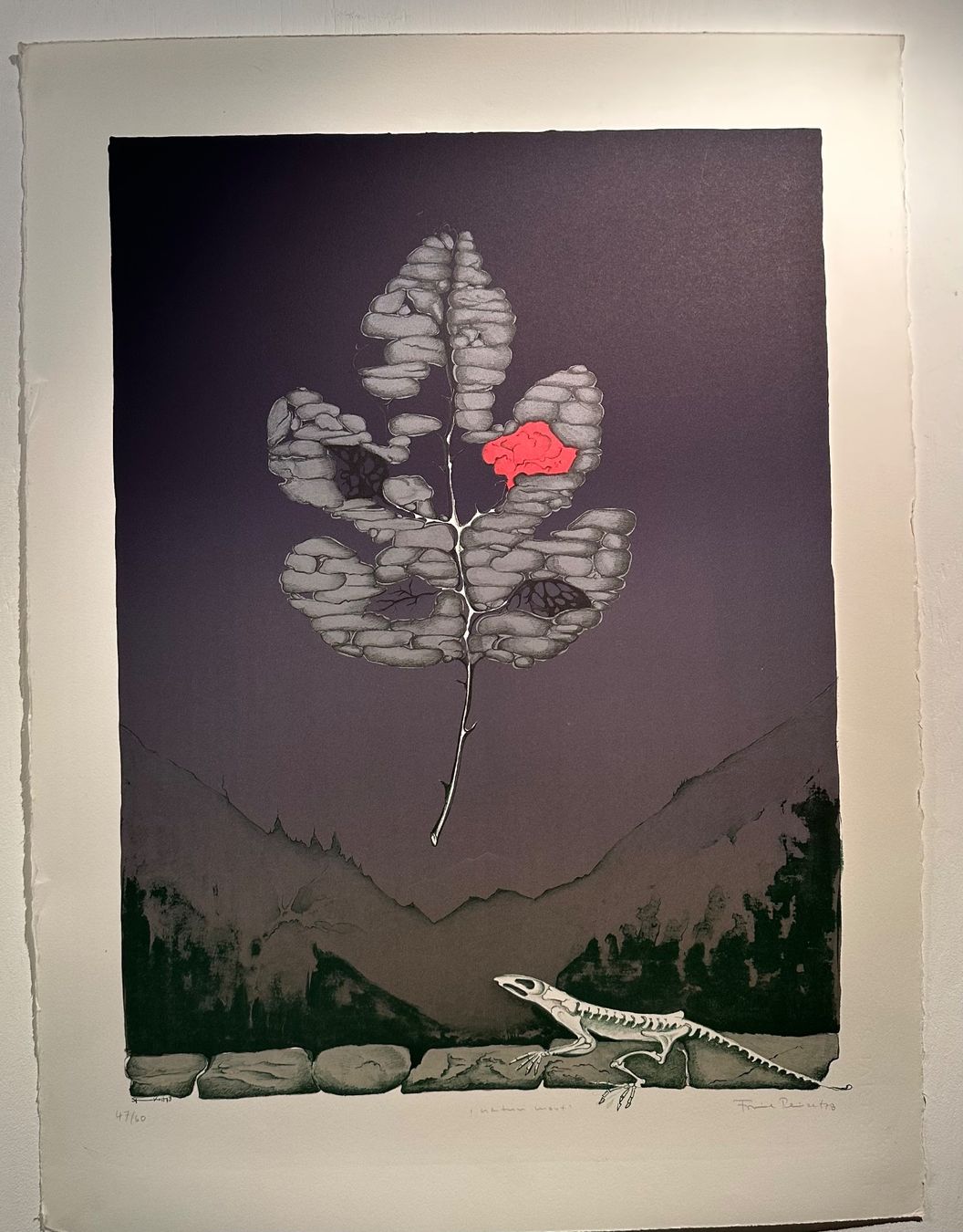 Grafica & Litografie: Friedel PEISERT (1932-2011) – Usato da Gampelen venduto da theboywhoworks 1