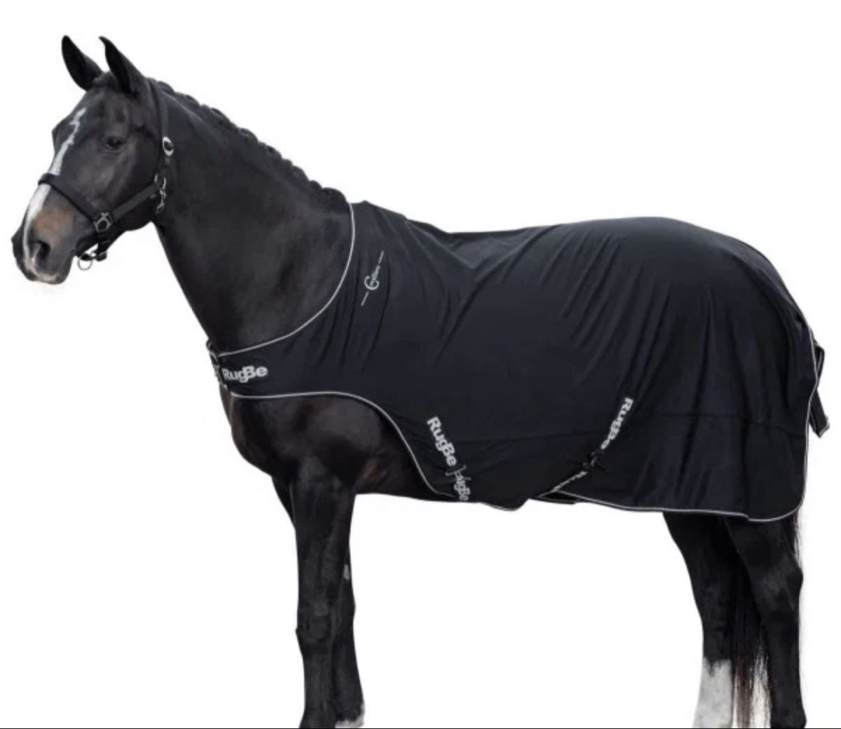 Coperte & Accessori: Führanlagedecke – Nuovo (secondo la descrizione) da Wattwil venduto da ann_h68g
