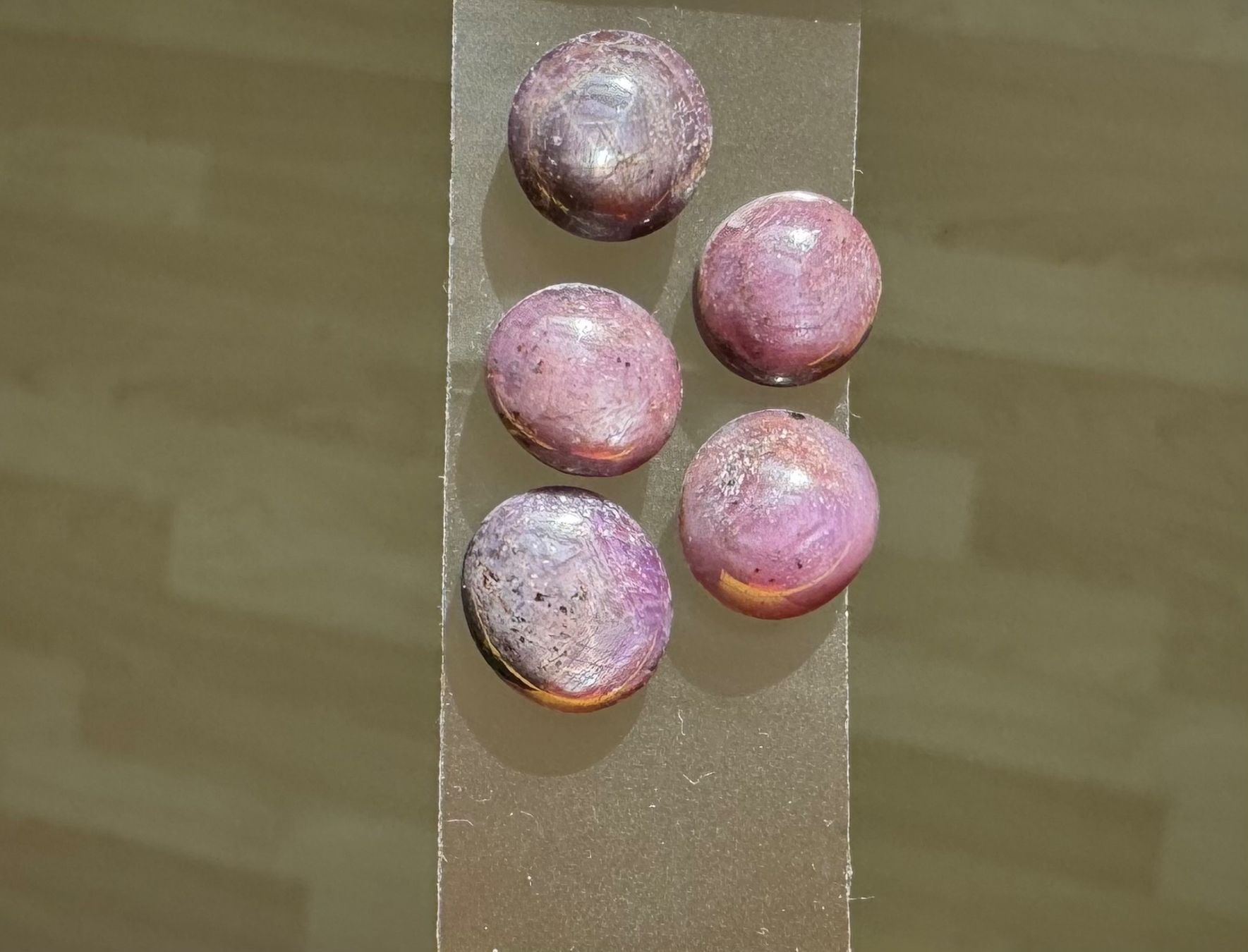 Pietre preziose: Stern Rubin 5 Cabochons wunderschön ECHT – Nuovo e nell'imballaggio originale da Leuggern venduto da gemshow 7