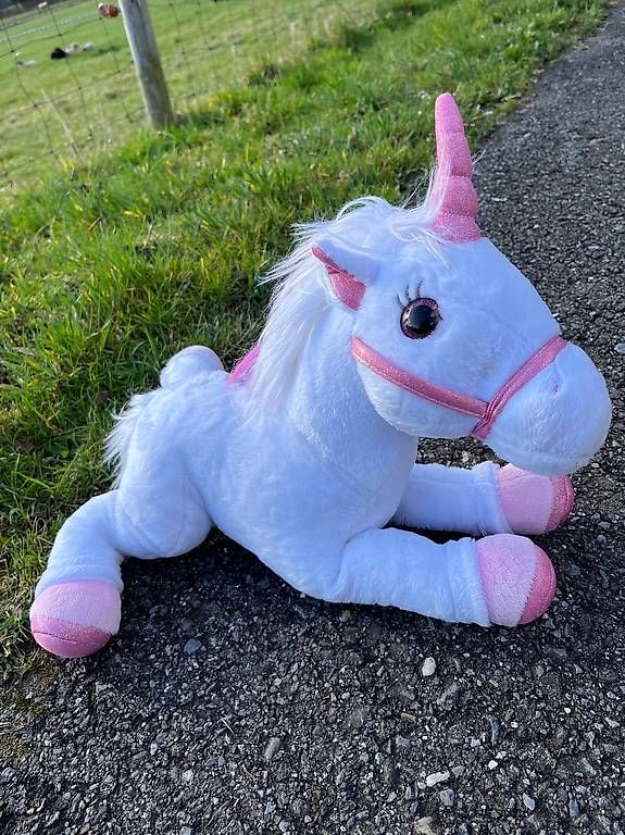 Tutte le decorazioni: Animiertes Einhorn  – Usato da Bellikon venduto da Ndorfer