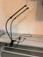 LED Pflanzenlampe mit zwei Armen und USB gebraucht