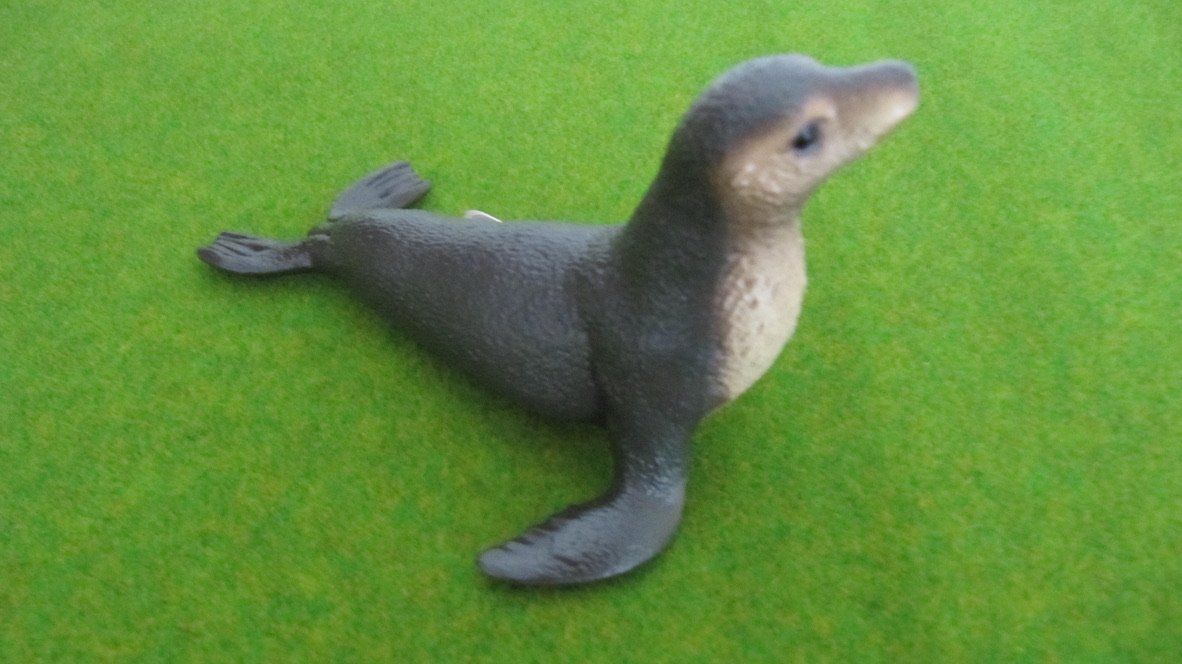 Schleich Spielzeuge: Schleich Seelöwe und Seestern,  NEU – Neu (gemäss Beschreibung) aus Brunnen von Kiwiland1 1