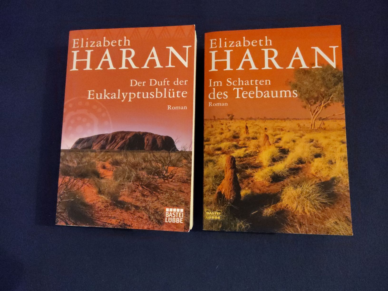 Bücher: Bücher Elisabeth Haran – Gebraucht aus Rapperswil BE von Katmu