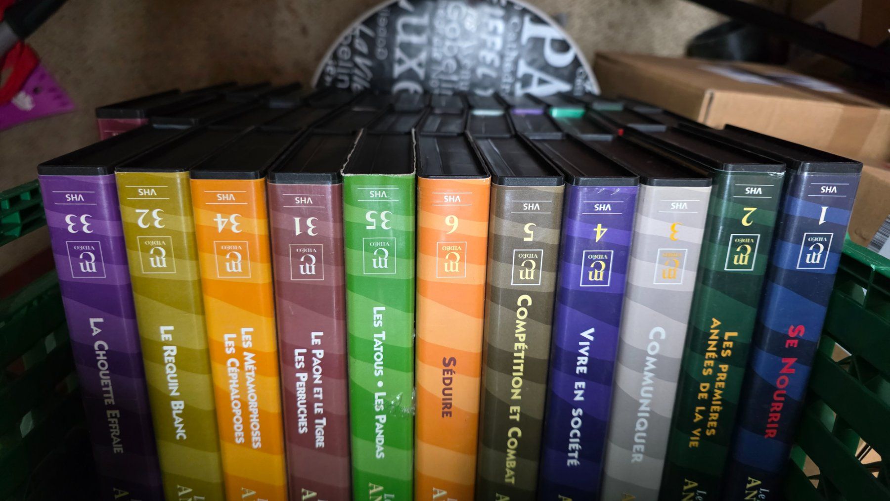Toutes les VHS: Animal VHS , collection – D'occasion à Bionnens par Meg011 2