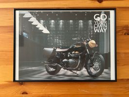 Triumph Motorrad "Go Your Own Way" im Rahmen