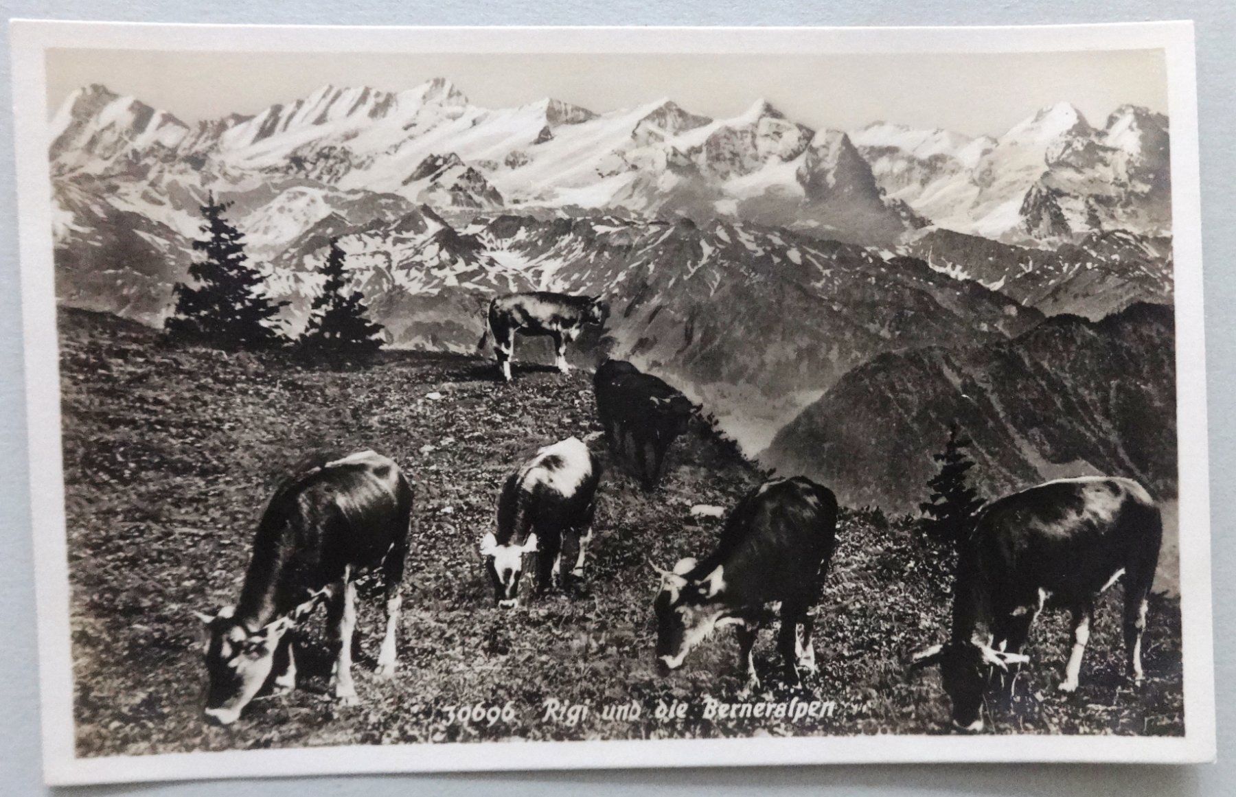 Cartoline postali: Rigi und die Berneralpen – Usato da Fétigny venduto da Billy2miny