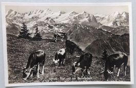 Rigi und die Berneralpen