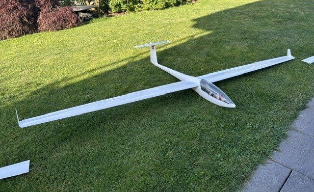 Modellismo RC: DG 800 von Wildflug – Usato da Eich venduto da ChiChi_99