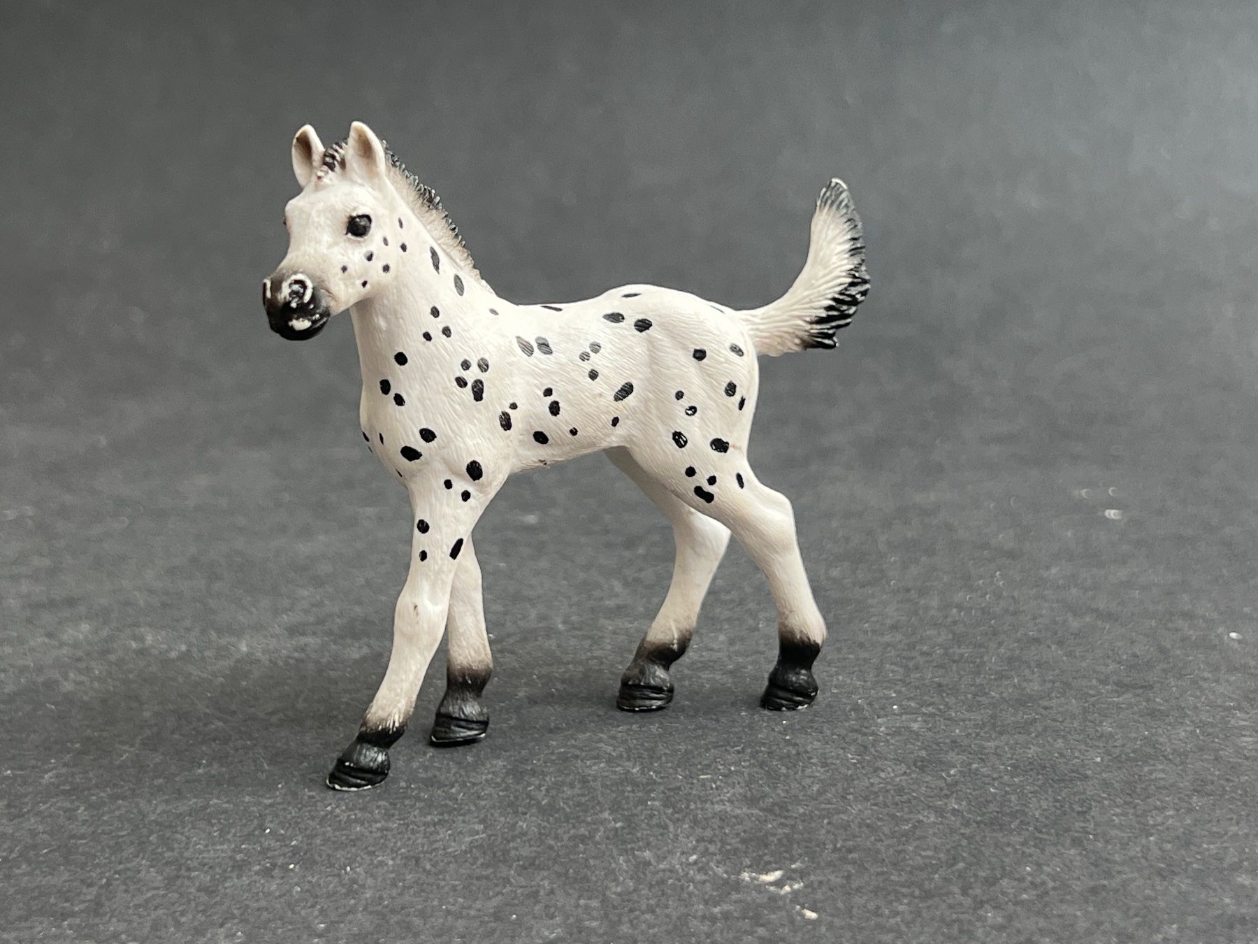 Schleich Statuette: Schleich Knabstrupper Fohlen Pferd – Usato da Ennetbaden venduto da mapa05