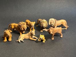 Schleich Löwe Löwen  Familie Junglöwe Löwin Junge