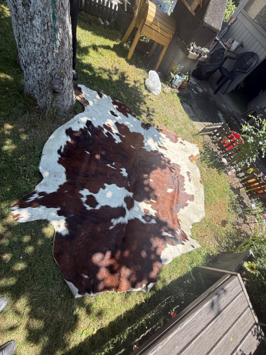 Tappeti: Fell Teppich Kuhfell braun weiss gross – Usato da Zürich venduto da Krikri21