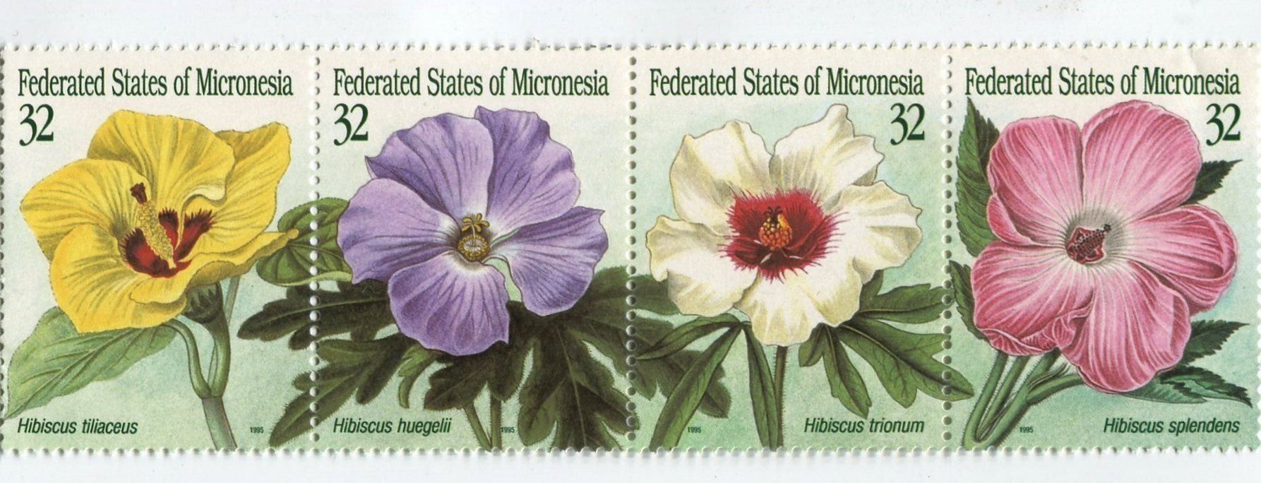 Alle Briefmarken: Briefmarken "Hibiskus". Mikronesien – Neu und originalverpackt aus Basel von Butsch5