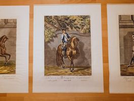 Johann E. Ridinger (1698-1767) 3 Antike Orig. Grossformate