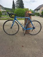 Rennvelo Trek
