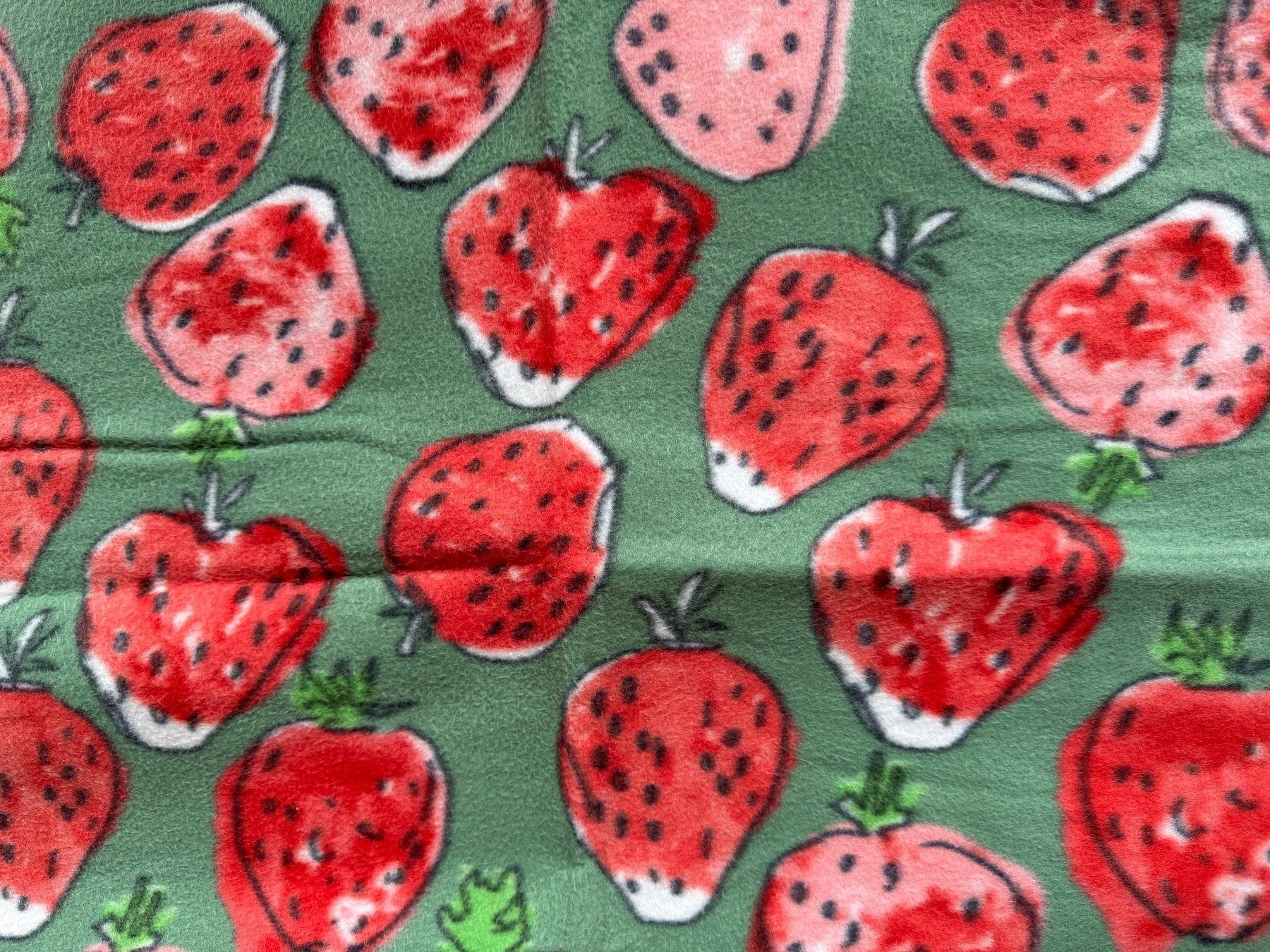 Coperte: Picknickdecke "Erdbeeren" – Usato da Rombach venduto da MarkusJohannes 2