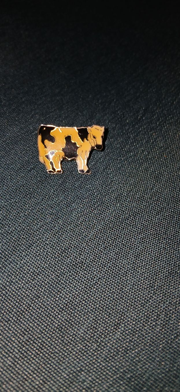 Placchette & Badge: Kuh-Pin – Usato da Bettingen venduto da z_nina11