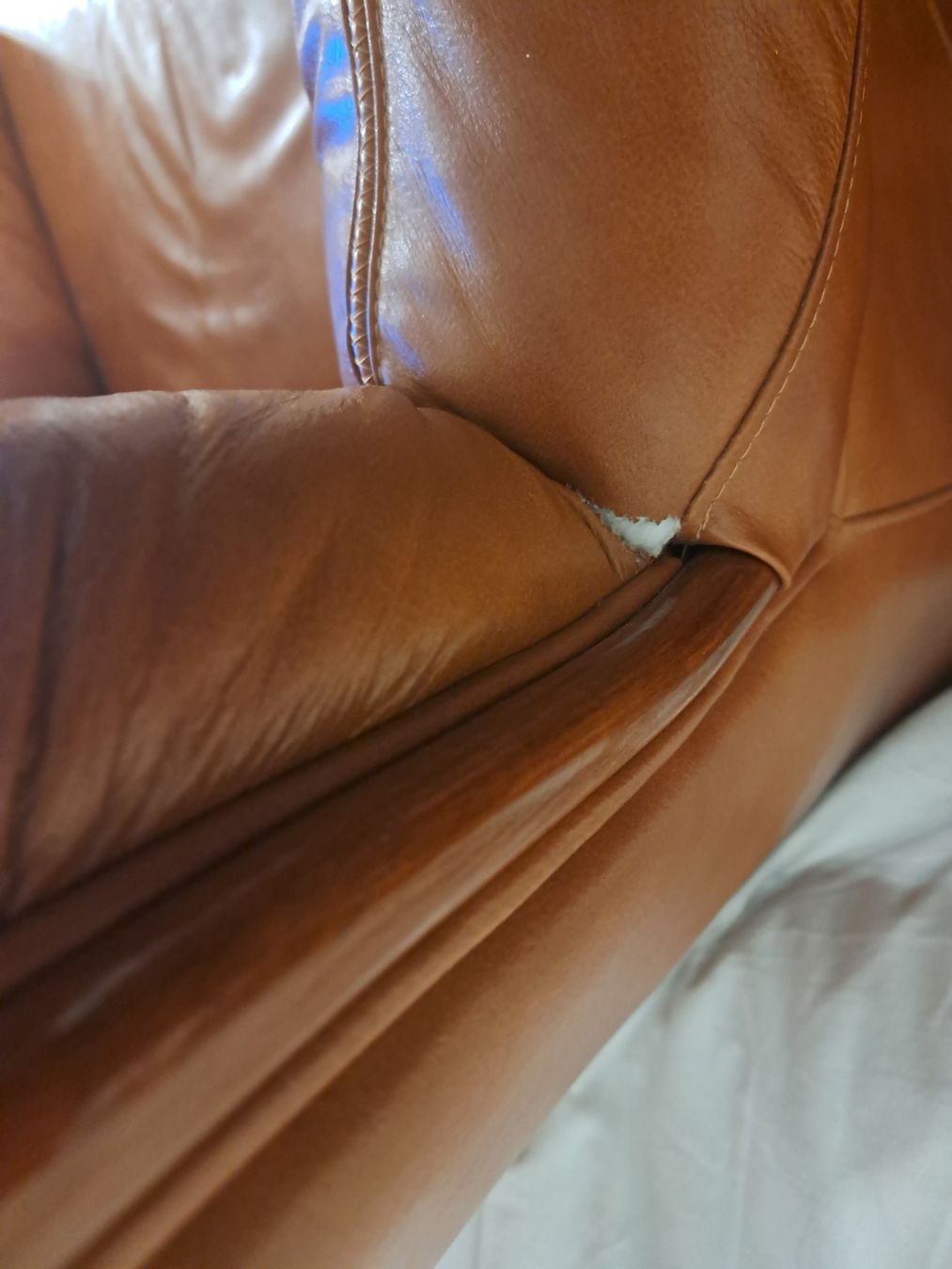 Poltrone: Fauteuil en cuir brun – Usato da Biel/Bienne venduto da Miza03 2
