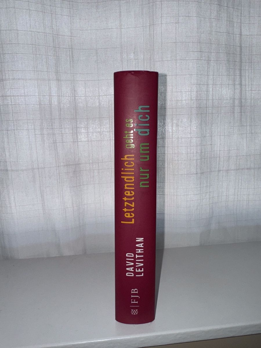 Libri: Letztendlich geht es nur um dich - David Levithan – Usato da Giffers venduto da sahla 2